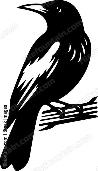 oriole evoking local folklore tales with its presence