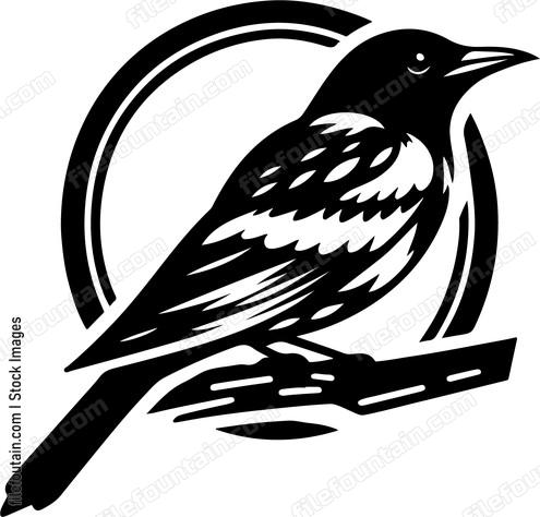 oriole evoking local folklore tales with its presence