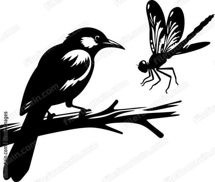 oriole gazing curiously at a passing dragonfly