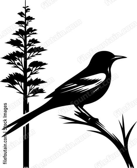 oriole observing its surroundings from a tall tree