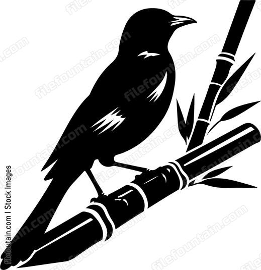 oriole perched on a bamboo stalk surveying its territory