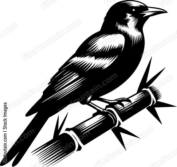 oriole perched on a bamboo stalk surveying its territory