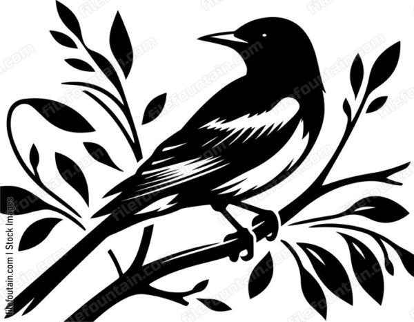 oriole reflecting the rich biodiversity of its homeland