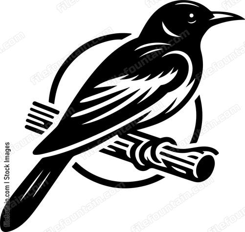 oriole reflecting the rich biodiversity of its homeland