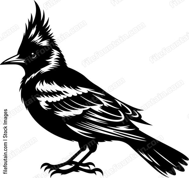 oriole showcasing its vibrant plumage