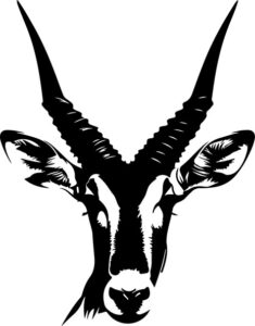 Oryx