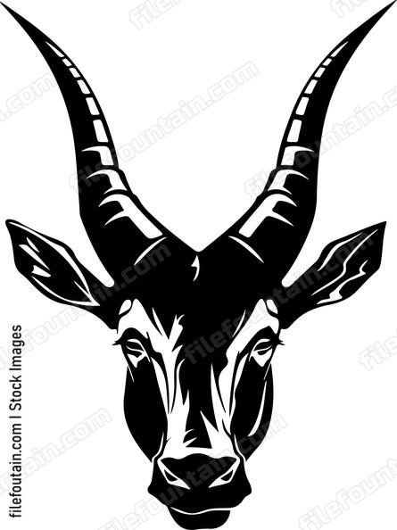 Oryx Head