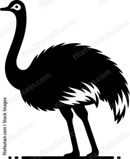 Ostrich
