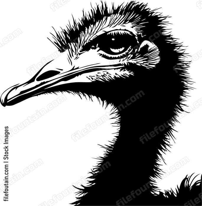 Ostrich Head In Sand