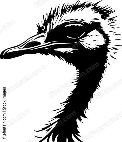 Ostrich Head In Sand