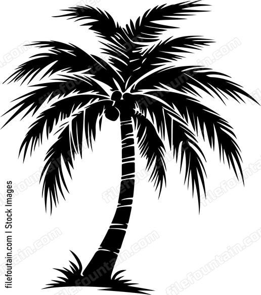 Palm