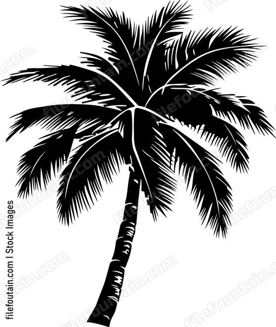 Palm