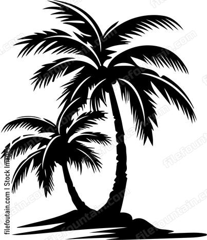 Palm