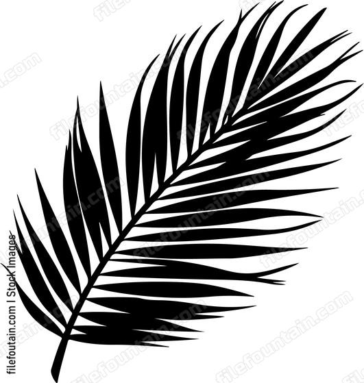 Palm Leaf