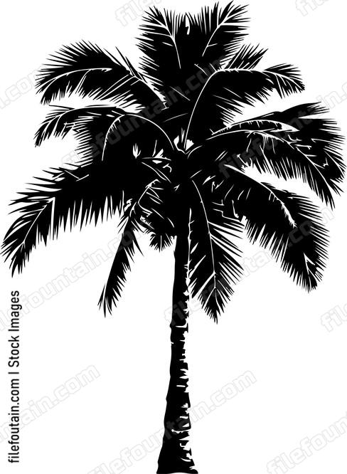 Palm Tree