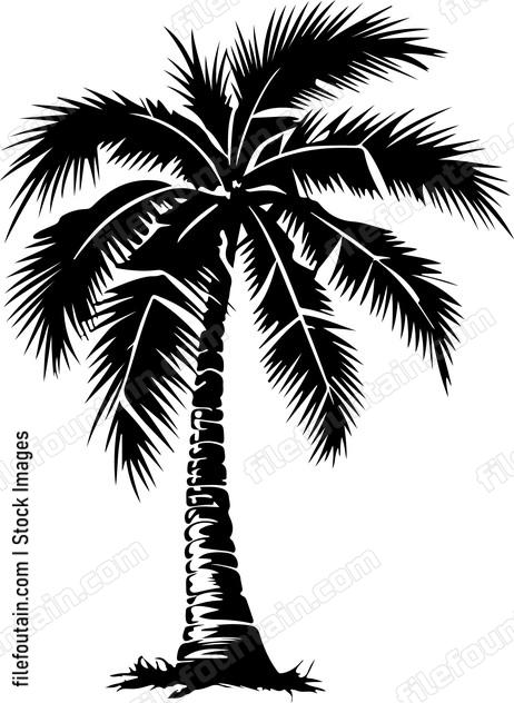 Palm Tree