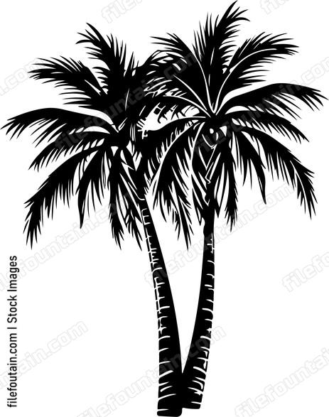 Palm Trees