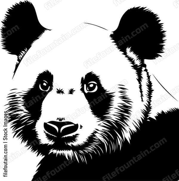 Panda Mug Shot
