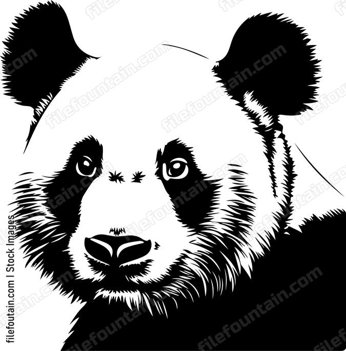 Panda Mug Shot