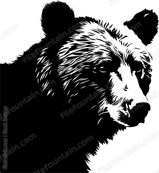 Paniced Bear