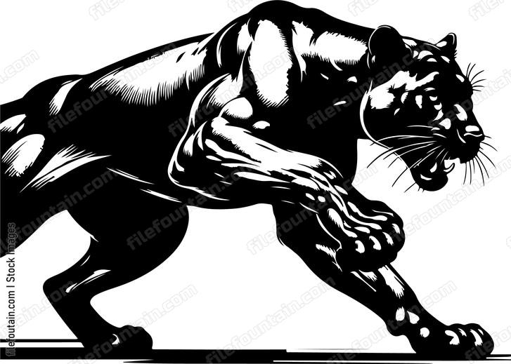 Panther