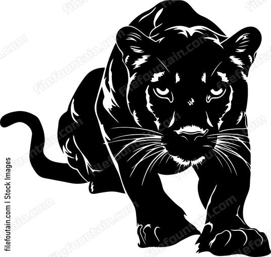 Panther Crawling