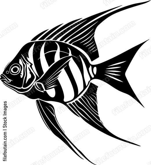 Paradise Fish