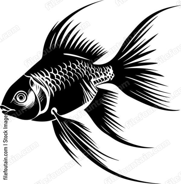 Paradise Fish