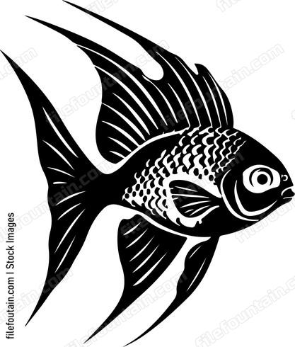 Paradise Fish