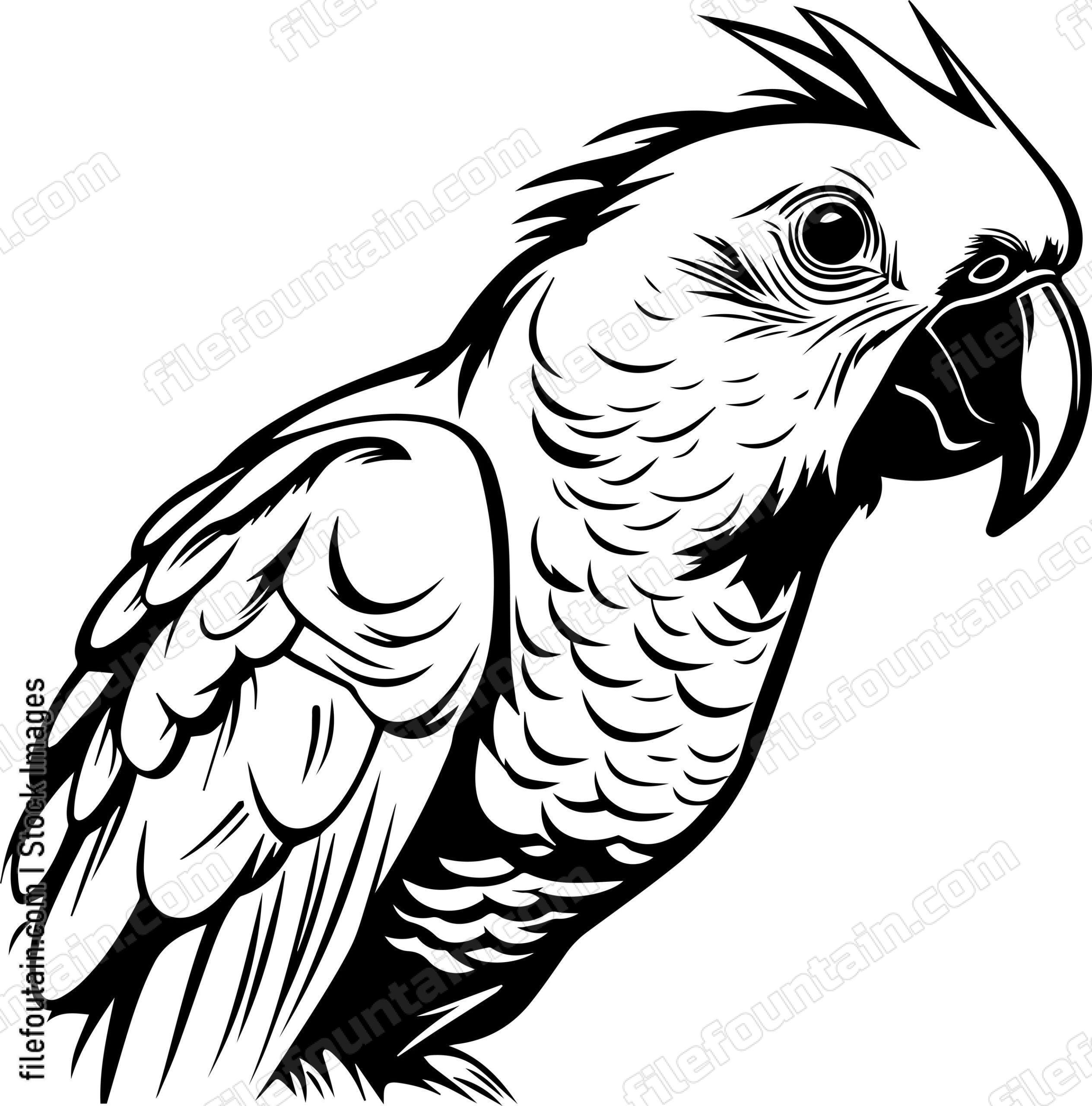 Parrot