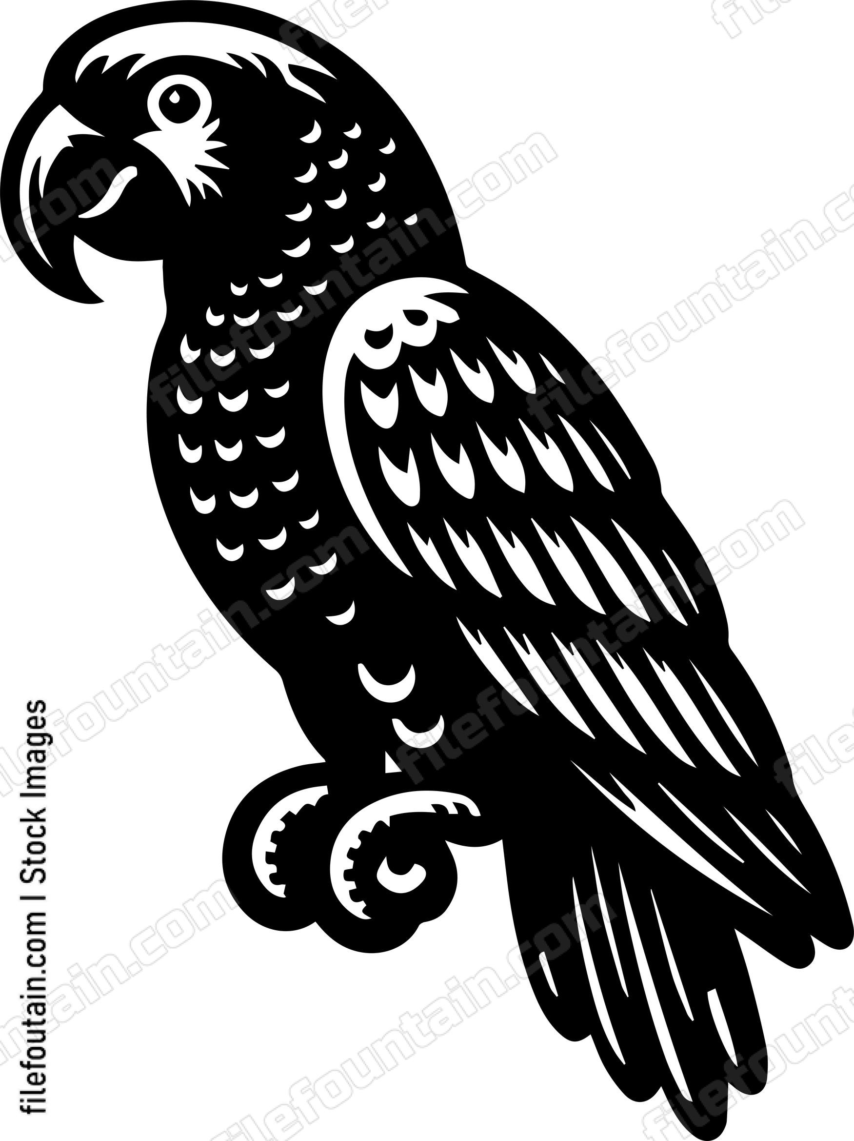 Parrot