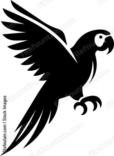 Parrot