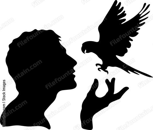 Parrot engaging in playful banter with its human companion