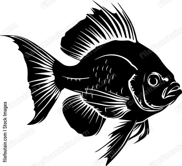 Parrot Fish