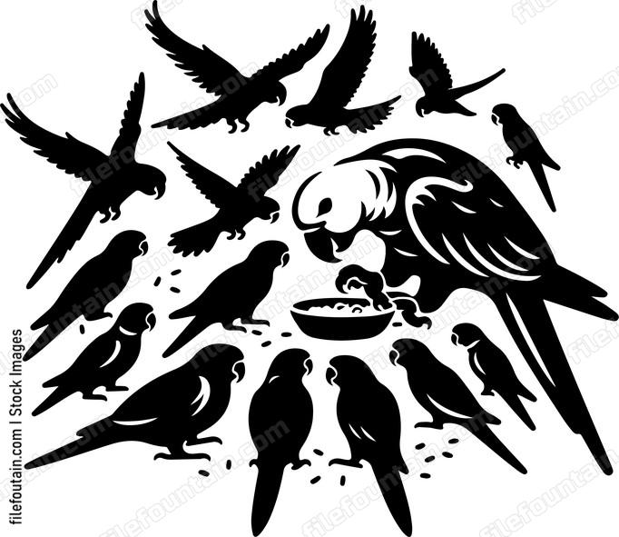 Parrot interacting with other birds in a communal feeding area