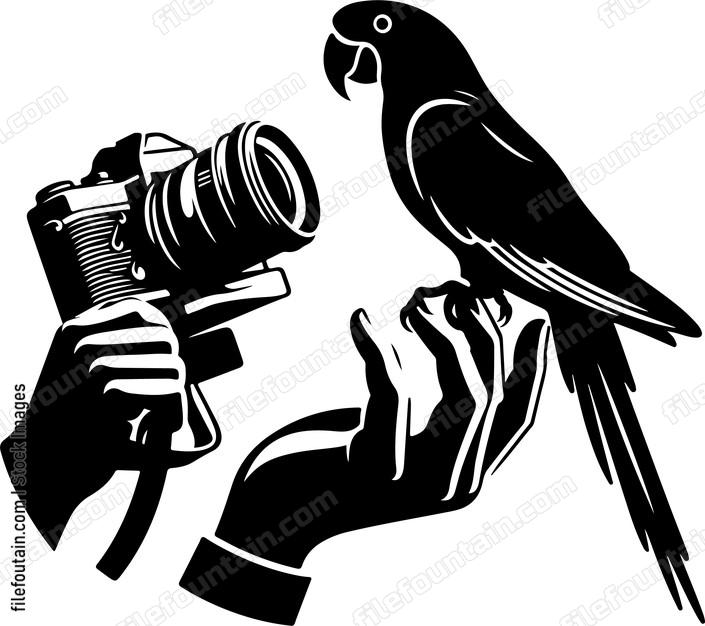 Parrot perched on a photographers hand during a photo shoot