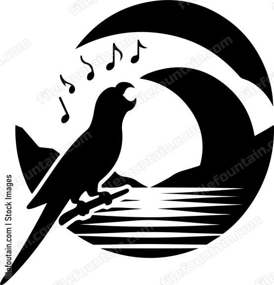 Parrot serenading the dawn with its melodious calls