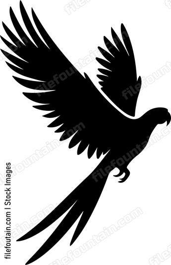 Parrot taking flight capturing the essence of freedom