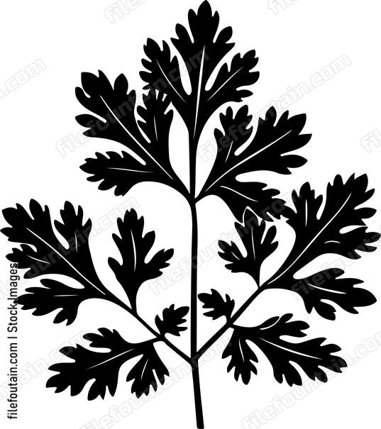 Parsley