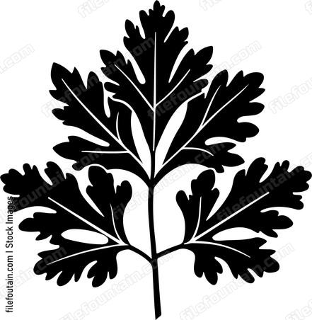 Parsley Leaf