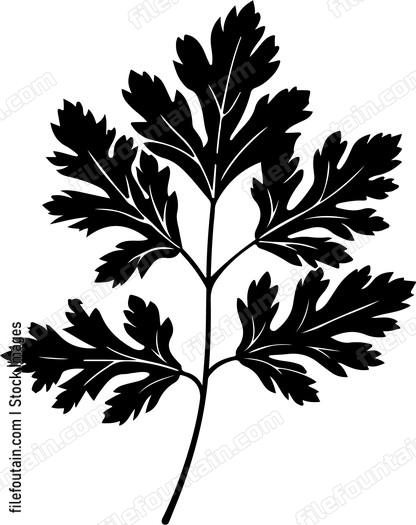Parsley Leaf