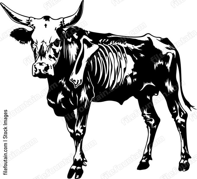Partially Exposed Cow Skeleton