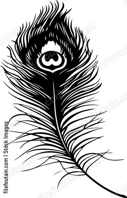 Peacock Feather