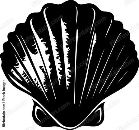 Pearl Clam