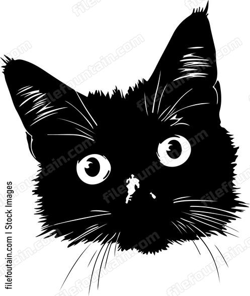 Peeking Cat