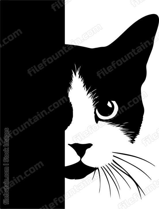 Peeking Cat