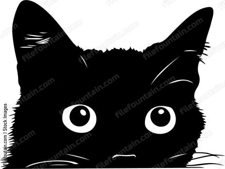 Peeking Cat