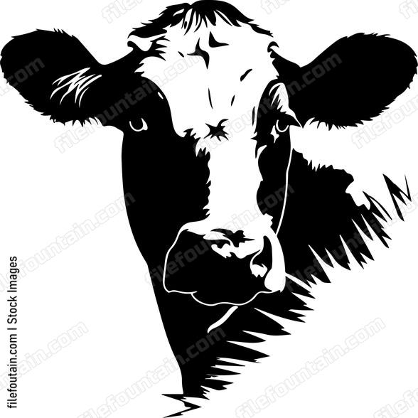 Peeking Cow