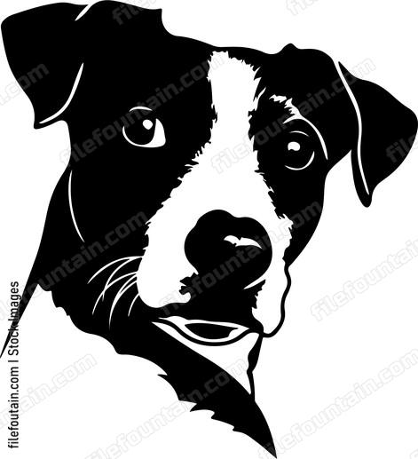 Peeking Dog
