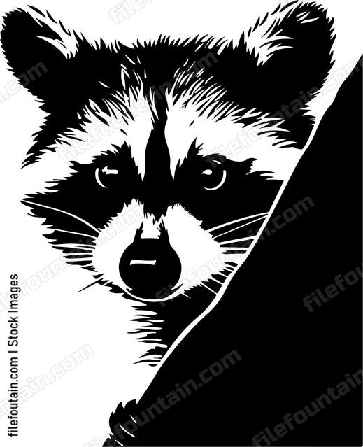 Peeking Raccoon